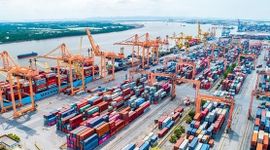 Cổ phiếu "gã khổng lồ" ngành logistics "tím lịm" sau khi đánh tiếng thoái vốn Nhà nước, vốn hóa chạm ngưỡng 3 tỷ USD