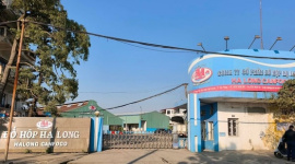 Vụ Đồ hộp Hạ Long: Phát hiện hành vi đưa, nhận hối lộ để cấp giấy kiểm dịch