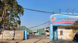 Vụ Đồ hộp Hạ Long: Phát hiện hành vi đưa, nhận hối lộ để cấp giấy kiểm dịch