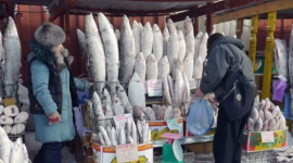 Không phải dầu thô hay khí đốt, một mặt hàng của Nga được người châu Âu cực mê: Chi hơn 700 triệu euro mua hàng, giá cao nhất trong nhiều năm