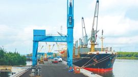 Công ty cảng biển 6.000 tỷ báo lãi kỷ lục, EPS 7.350 đồng, tiền mặt chiếm 50% tài sản
