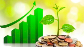 Lịch chốt quyền cổ tức tuần 26-30/1: Cổ tức tiền mặt cao nhất 20%
