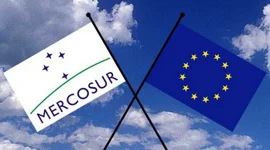 Những thách thức xung quanh thời điểm Hiệp định EU-Mercosur có hiệu lực