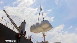 Thị trường nông sản: Giá gạo châu Á trầm lắng do cầu vẫn yếu