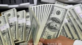 Đồng USD mở màn năm 2026 với đợt phục hồi nhẹ
