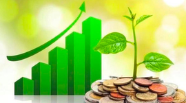 Lịch chốt quyền cổ tức tuần đầu tháng 2: Cổ tức tiền mặt cao nhất 30%, một công ty chứng khoán sắp "lăn chốt"