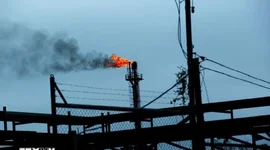 Hoạt động xuất khẩu dầu của Venezuela bị đóng băng