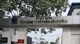 Bỏ ra gần 100 tỷ đầu tư, một công ty xây dựng sắp nhận cổ tức tiền mặt tỷ lệ 37,75%