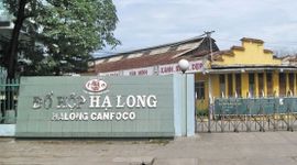 Đồ hộp Hạ Long đang kinh doanh ra sao?