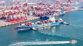 Điểm tin kinh tế thế giới nổi bật ngày 12/10/2026