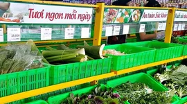 Một “đại gia” tuyển người cùng bán rau, thu nhập có thể lên đến 30 triệu đồng