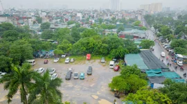 Quy hoạch 1/500 đô thị Vĩnh Hưng: Công viên cây xanh tăng 22 lần, đất công cộng tăng gần 4 lần