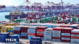 Sự lựa chọn của APEC trước ngã rẽ lịch sử của kinh tế thế giới