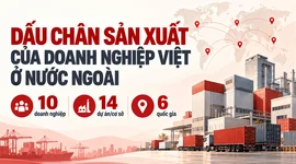 VinFast, THACO, Vinamilk và loạt ông lớn Việt mang hàng tỷ USD ra nước ngoài xây nhà máy, phát triển vùng nguyên liệu