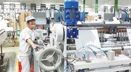 Gần 224.000 doanh nghiệp gia nhập thị trường, vốn đăng ký bổ sung vào nền kinh tế vượt 5 triệu tỷ đồng