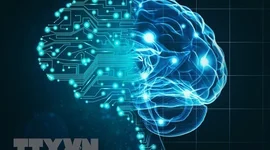 Mỹ đổ hàng nghìn tỷ USD vào trung tâm dữ liệu AI, nhu cầu điện, nước tăng mạnh