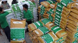 Campuchia xuất khẩu hơn 200.000 tấn gạo sang Philippines