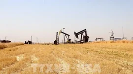 Giá dầu tăng sau vụ cuộc tấn công nhắm vào các cơ sở của Saudi Aramco