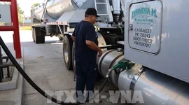 Giá dầu diesel tăng kỷ lục đe dọa ngành vận tải xe tải Mỹ 