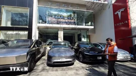 Tesla giữ ngôi vương xe nhập khẩu tại Hàn Quốc