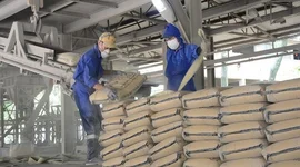 Ngành xi măng tìm lời giải cho bài toán phát thải và hạn ngạch carbon