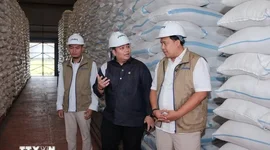 Indonesia thu mua hơn 4 triệu tấn gạo trong nước, vượt mục tiêu cả năm
