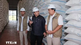 Indonesia thu mua hơn 4 triệu tấn gạo trong nước, vượt mục tiêu cả năm