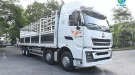 Khoản phải trả 7.100 tỷ đồng cho đối tác Trung Quốc và cách 'đại gia' bán xe tải 'Hổ vồ' thu tiền trước, trả tiền sau