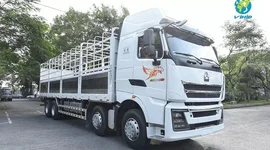 Khoản phải trả 7.100 tỷ đồng cho đối tác Trung Quốc và cách 'đại gia' bán xe tải 'Hổ vồ' thu tiền trước, trả tiền sau