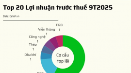20 DN niêm yết có lợi nhuận trước thuế lớn nhất năm 2025: VinHomes vượt qua loạt ngân hàng giữ vị trí đầu bảng, 2 doanh nghiệp BĐS tăng trên 1.000%