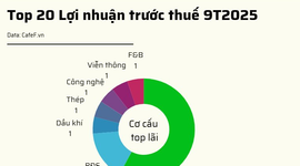 20 DN niêm yết có lợi nhuận trước thuế lớn nhất năm 2025: VinHomes vượt qua loạt ngân hàng giữ vị trí đầu bảng, 2 doanh nghiệp BĐS tăng trên 1.000%