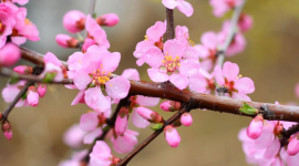 Thị trường chứng khoán Việt Nam thường diễn biến ra sao trong tháng 2?