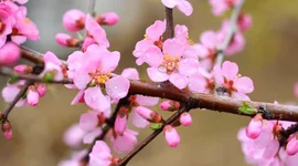 Thị trường chứng khoán Việt Nam thường diễn biến ra sao trong tháng 2?