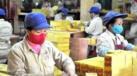 Doanh nghiệp kinh doanh vàng mã duy nhất trên sàn chứng khoán làm ăn ra sao?