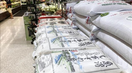 Nhật Bản tìm hướng đi cho mục tiêu tăng xuất khẩu gạo