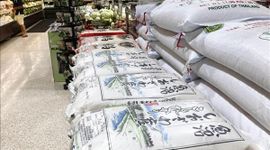 Nhật Bản tìm hướng đi cho mục tiêu tăng xuất khẩu gạo