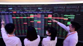 SSI, Vietcap, MBS và loạt CTCK chốt ngày họp ĐHĐCĐ thường niên 2026