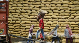 Giá gạo Ấn Độ và Thái Lan ít biến động trước thềm Tết Nguyên đán