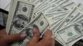 Đồng USD duy trì đà tăng trong phiên giao dịch đầu năm Bính Ngọ