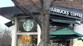 “Đế chế” Starbucks đối mặt với thử thách “giữ chân” khách hàng tại Mỹ