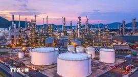 OPEC+ chính thức tạm ngưng tăng sản lượng dầu đến hết quý 1 năm 2026