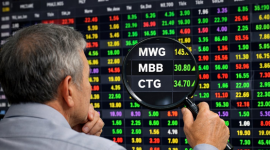 Soi top danh mục các "cá mập" nghìn tỷ: MWG cùng 2 cổ phiếu ngân hàng chiếm sóng