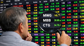 Soi top danh mục các "cá mập" nghìn tỷ: MWG cùng 2 cổ phiếu ngân hàng chiếm sóng