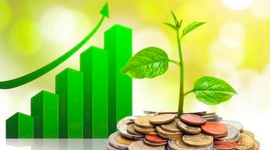 Lịch chốt quyền cổ tức tuần 2/3– 6/3: Cổ tức tiền mặt cao nhất 100%
