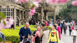 Trung Quốc thúc đẩy các dịch vụ kỹ thuật số cho người nước ngoài