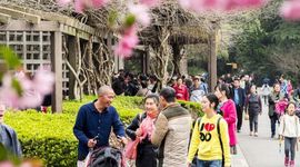 Trung Quốc thúc đẩy các dịch vụ kỹ thuật số cho người nước ngoài