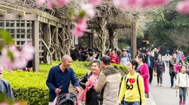Trung Quốc thúc đẩy các dịch vụ kỹ thuật số cho người nước ngoài
