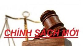 Những chính sách mới có hiệu lực từ tháng 3/2026