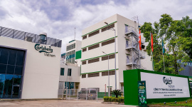 Hãng bia Carlsberg tại Việt Nam lỗ hơn 800 tỷ đồng năm 2025, dù doanh thu "khủng" gần 16.000 tỷ đồng