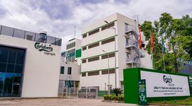 Hãng bia Carlsberg tại Việt Nam lỗ hơn 800 tỷ đồng năm 2025, dù doanh thu "khủng" gần 16.000 tỷ đồng